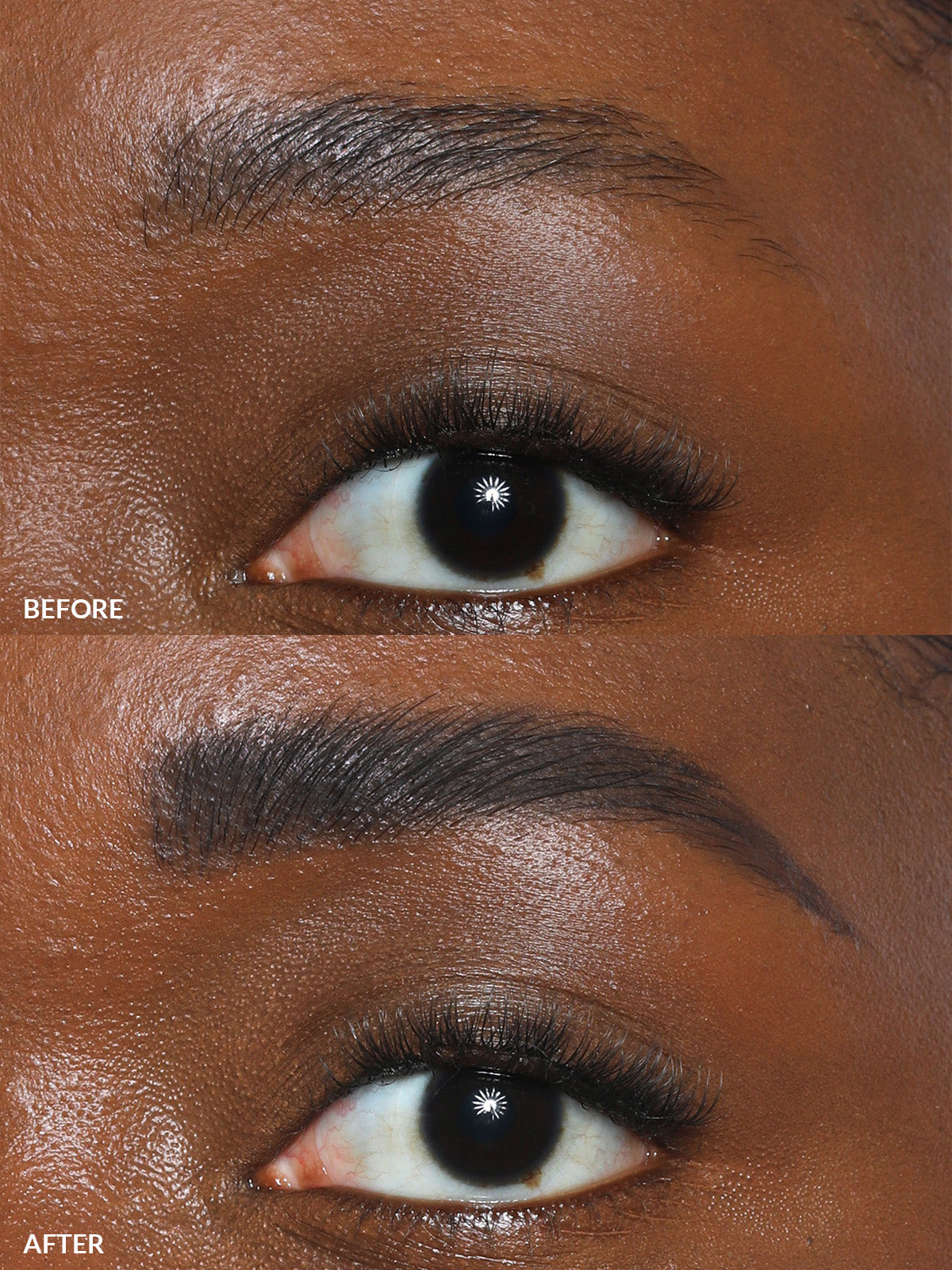 Brow Collection